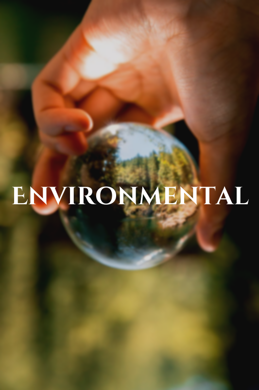 Environmental-quotes