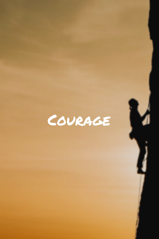 Courage-quotes