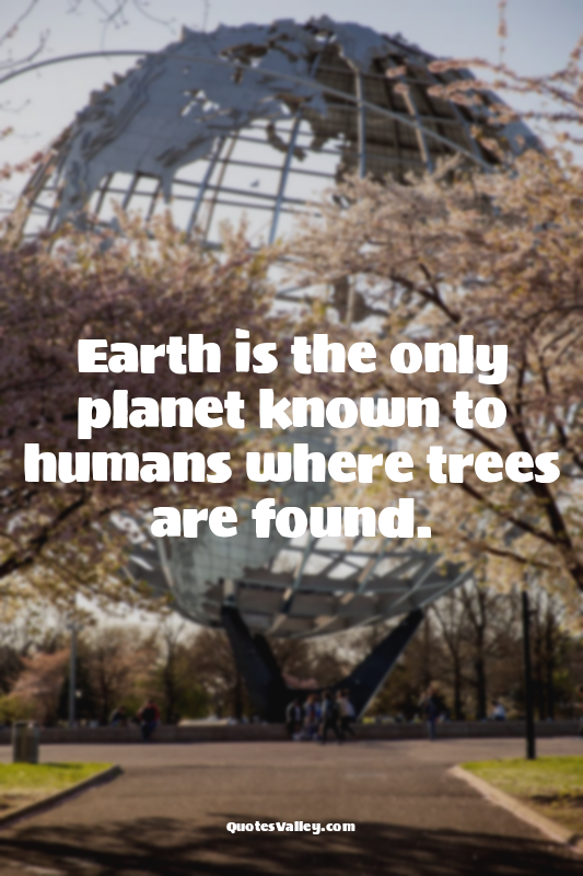 Earth is the only planet known to humans where trees are found.