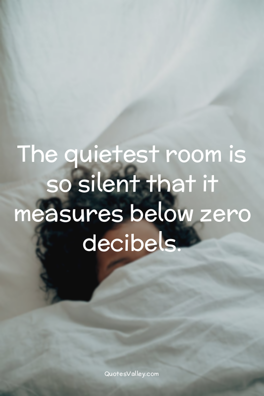 The quietest room is so silent that it measures below zero decibels.