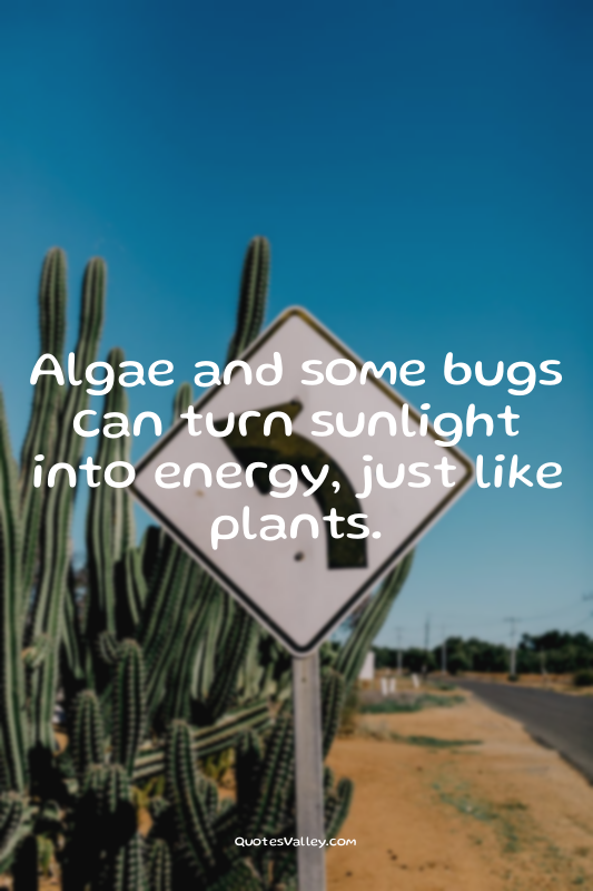 Algae and some bugs can turn sunlight into energy, just like plants.