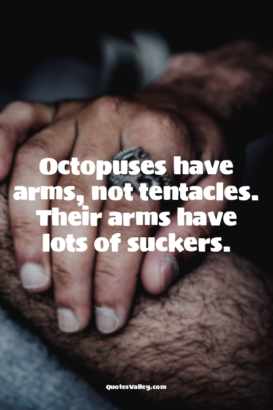 Octopuses have arms, not tentacles. Their arms have lots of suckers.