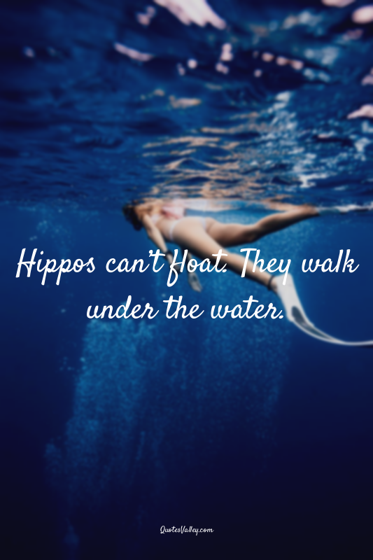 Hippos can’t float. They walk under the water.
