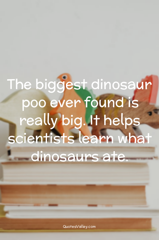 The biggest dinosaur poo ever found is really big. It helps scientists learn wha...