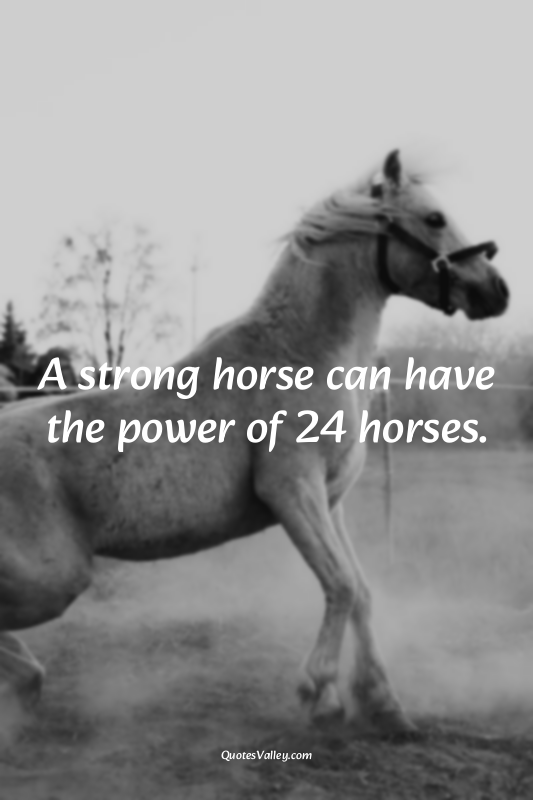 A strong horse can have the power of 24 horses.