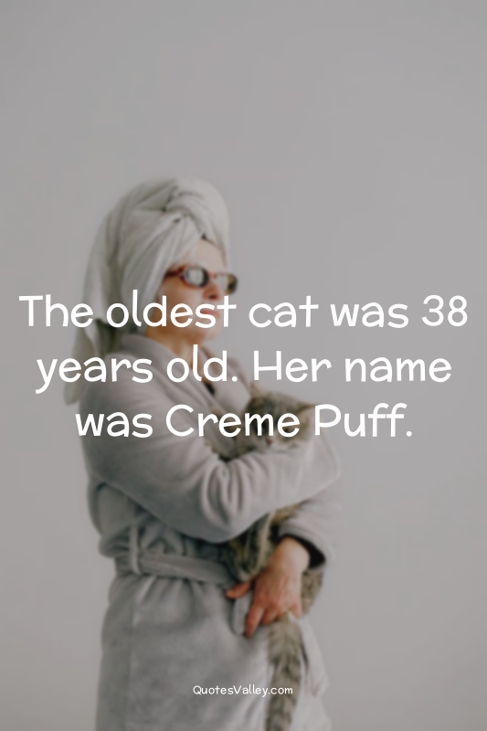 The oldest cat was 38 years old. Her name was Creme Puff.