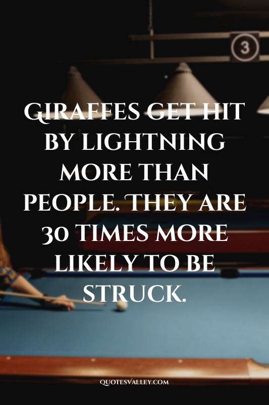 Giraffes get hit by lightning more than people. They are 30 times more likely to...