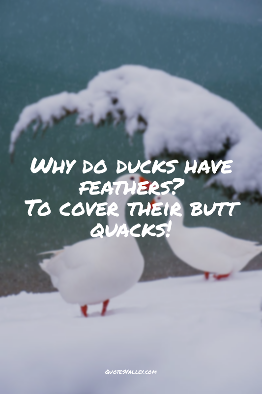 Why do ducks have feathers?
To cover their butt quacks!