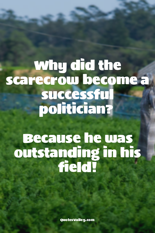 Why did the scarecrow become a successful politician? 

Because he was outstan...