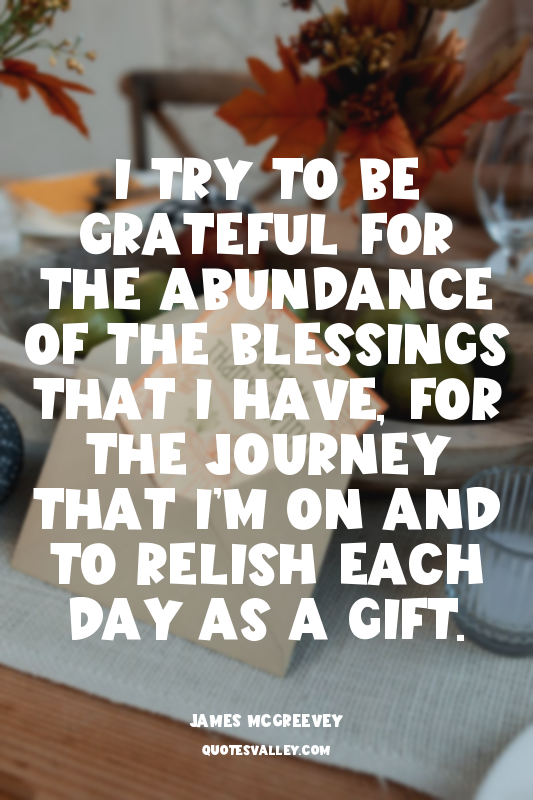 I try to be grateful for the abundance of the blessings that I have, for the jou...