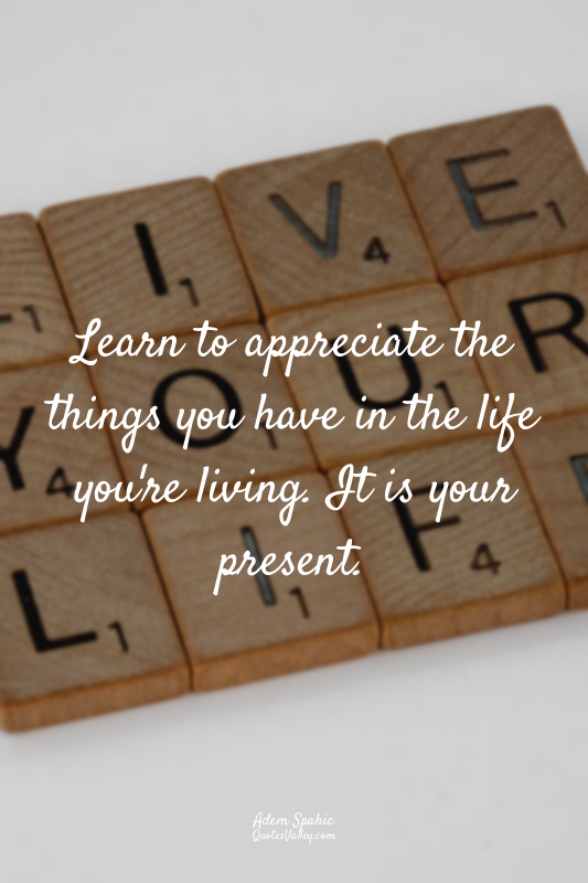 Learn to appreciate the things you have in the life you're living. It is your pr...