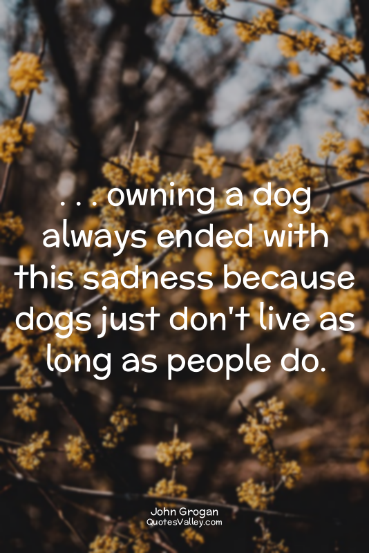 . . . owning a dog always ended with this sadness because dogs just don't live a...