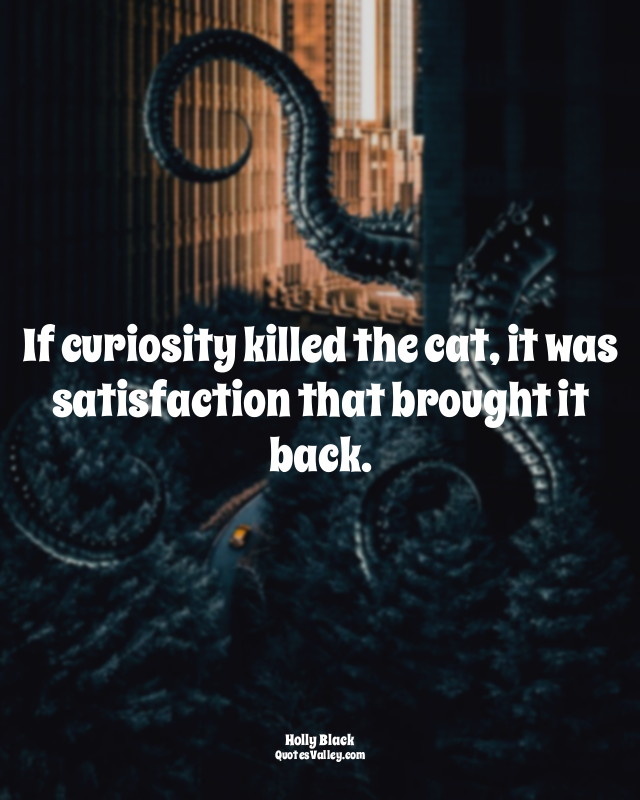 If curiosity killed the cat, it was satisfaction that brought it back.