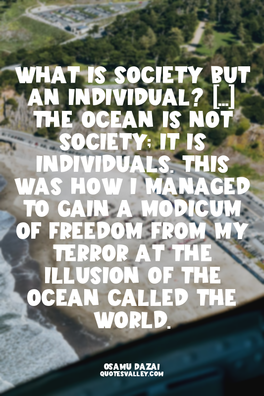 What is society but an individual? [...] The ocean is not society; it is individ...