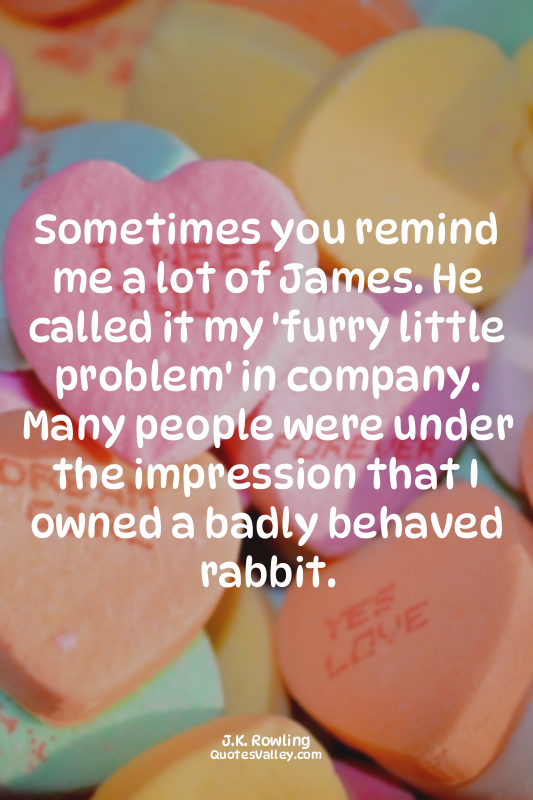 Sometimes you remind me a lot of James. He called it my 'furry little problem' i...