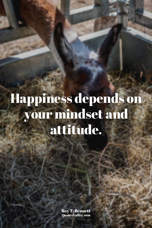 Happiness depends on your mindset and attitude.