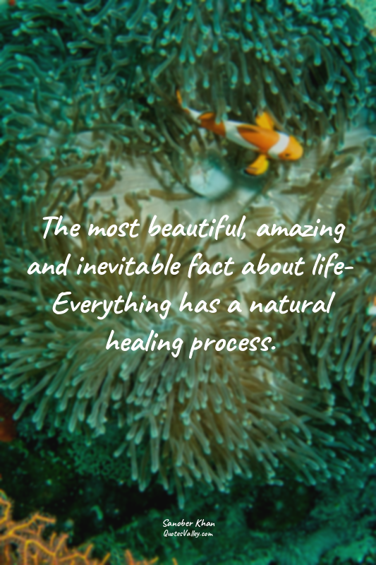 The most beautiful, amazing and inevitable fact about life- Everything has a nat...