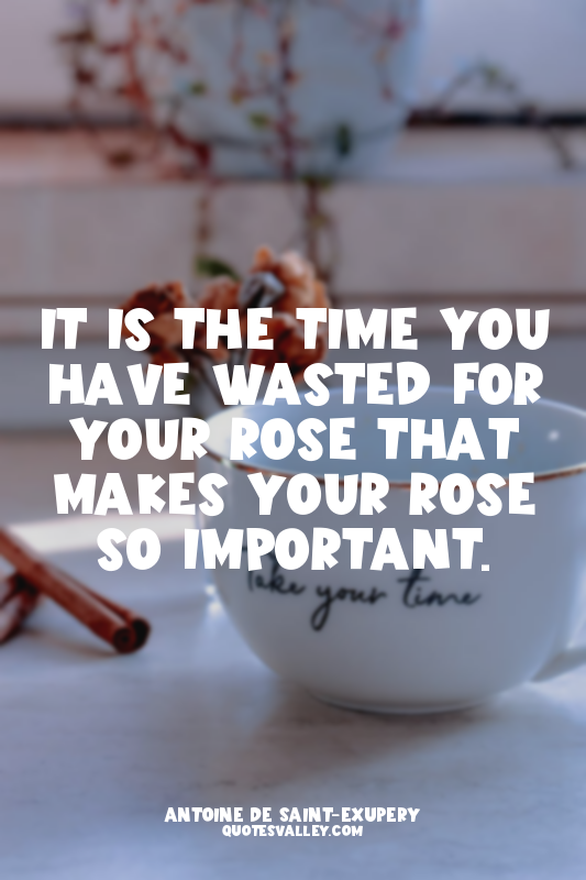It is the time you have wasted for your rose that makes your rose so important.