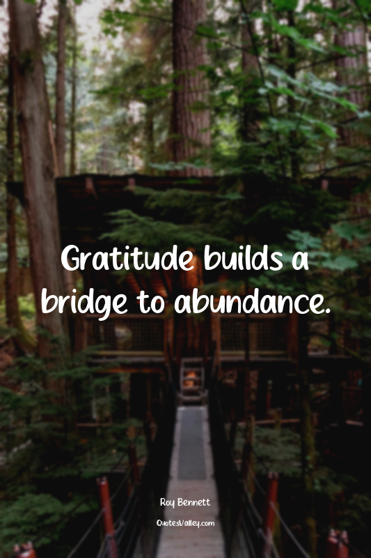 Gratitude builds a bridge to abundance.