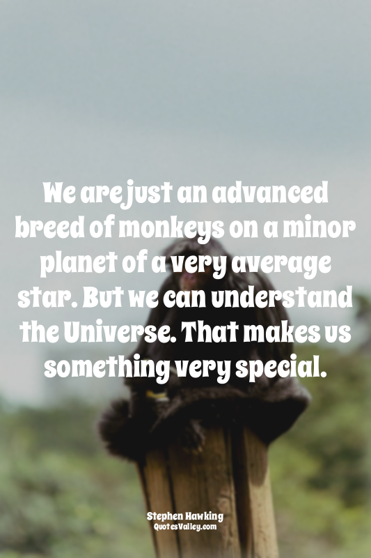 We are just an advanced breed of monkeys on a minor planet of a very average sta...