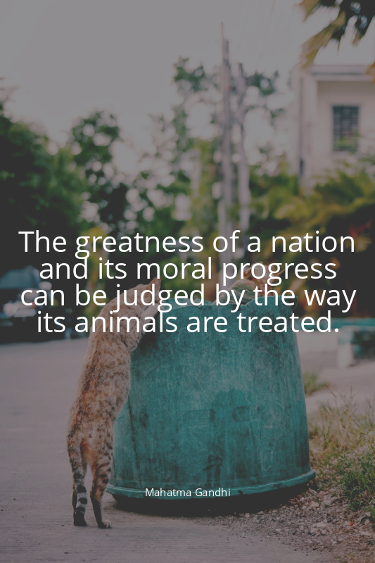 The greatness of a nation and its moral progress can be judged by the way its an...