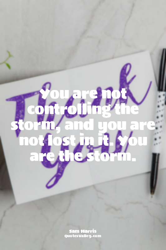 You are not controlling the storm, and you are not lost in it. You are the storm...