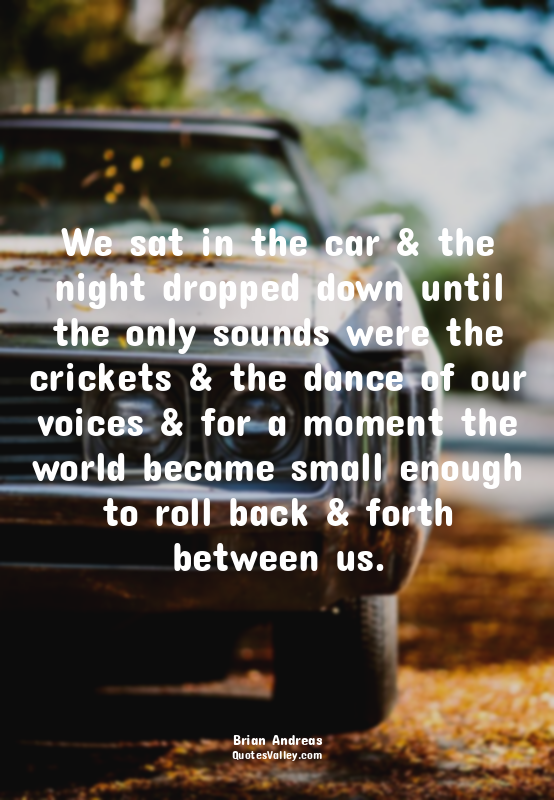 We sat in the car & the night dropped down until the only sounds were the cricke...