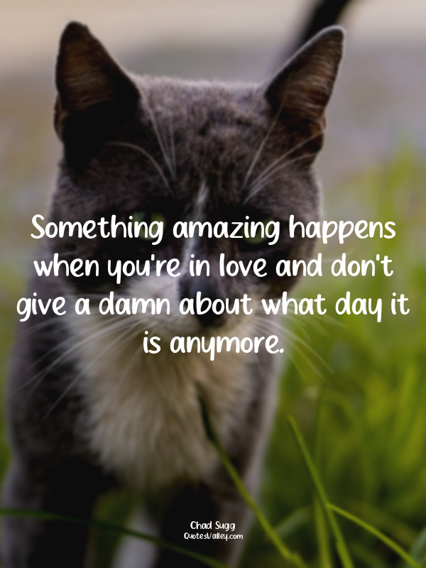 Something amazing happens when you're in love and don't give a damn about what d...