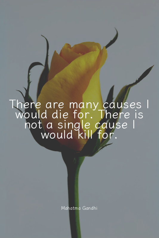 There are many causes I would die for. There is not a single cause I would kill...