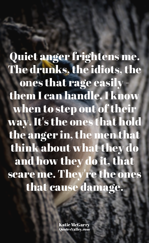 Quiet anger frightens me. The drunks, the idiots, the ones that rage easily - th...