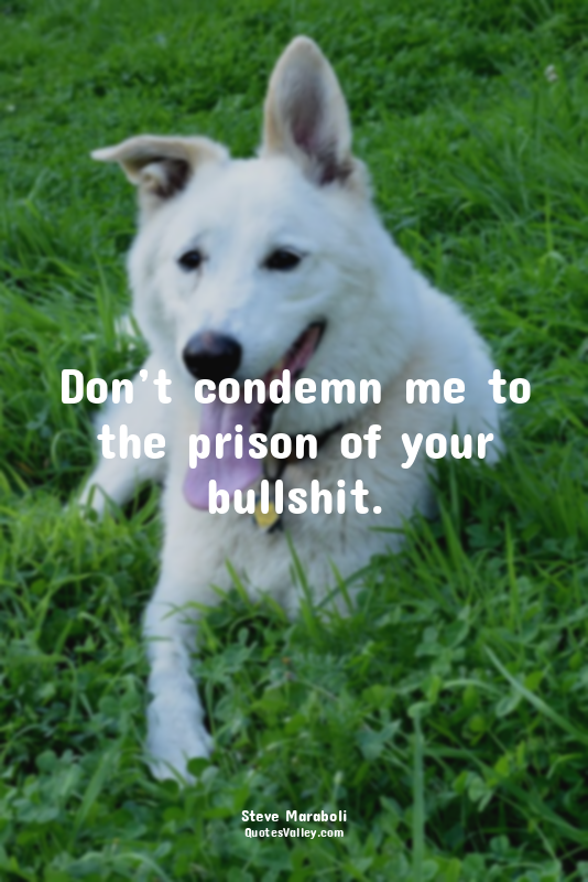 Don’t condemn me to the prison of your bullshit.