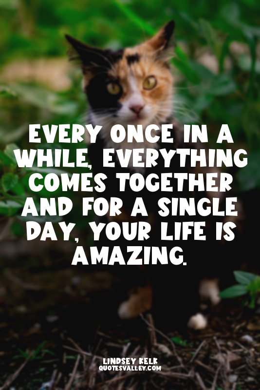 Every once in a while, everything comes together and for a single day, your life...