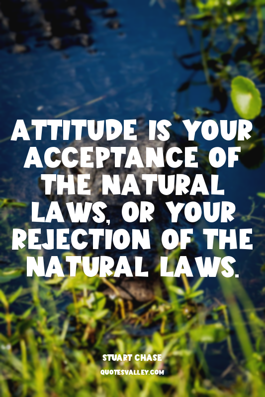 Attitude is your acceptance of the natural laws, or your rejection of the natura...