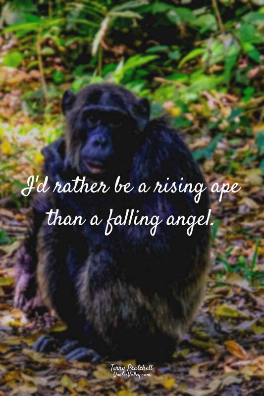 I'd rather be a rising ape than a falling angel.