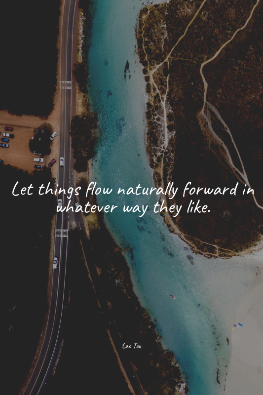 Let things flow naturally forward in whatever way they like.