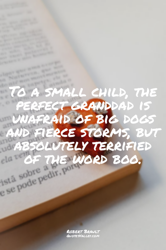 To a small child, the perfect granddad is unafraid of big dogs and fierce storms...