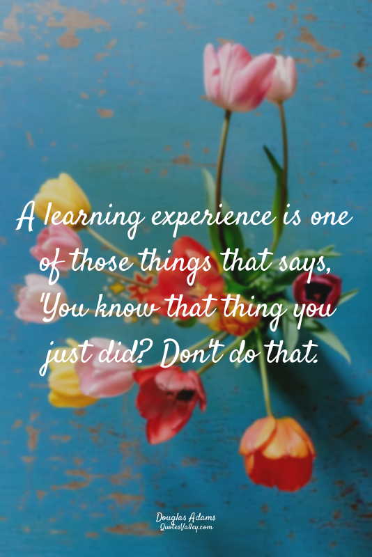 A learning experience is one of those things that says, 'You know that thing you...