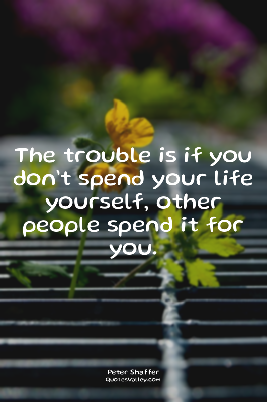 The trouble is if you don’t spend your life yourself, other people spend it for...