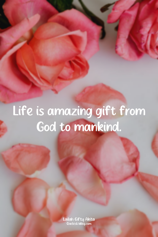 Life is amazing gift from God to mankind.