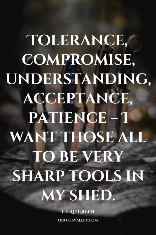 Tolerance, compromise, understanding, acceptance, patience – I want those all to...