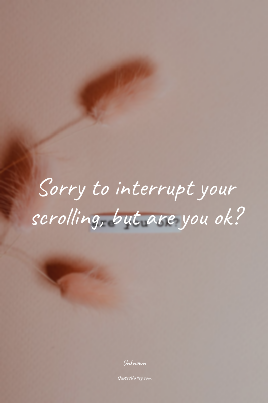 Sorry to interrupt your scrolling, but are you ok?