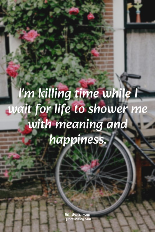 I'm killing time while I wait for life to shower me with meaning and happiness.