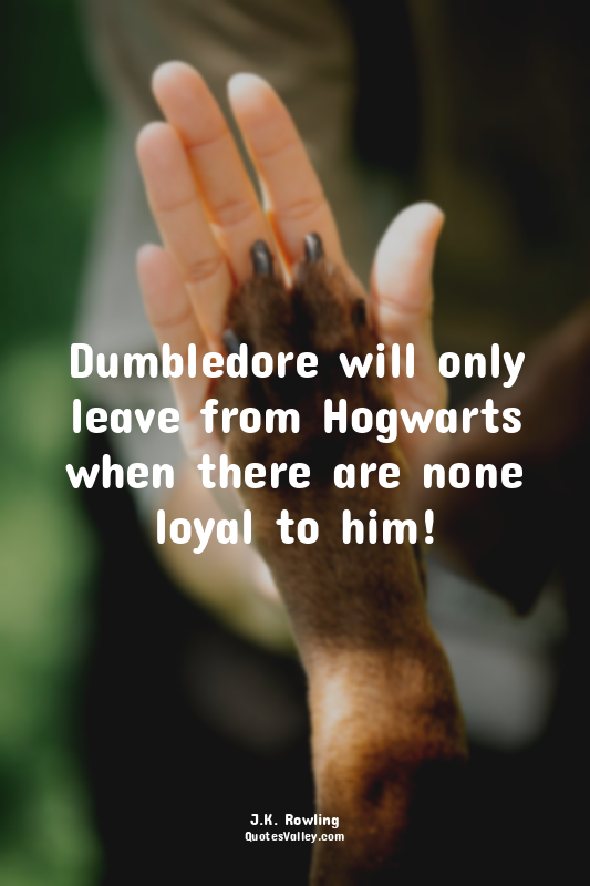 Dumbledore will only leave from Hogwarts when there are none loyal to him!