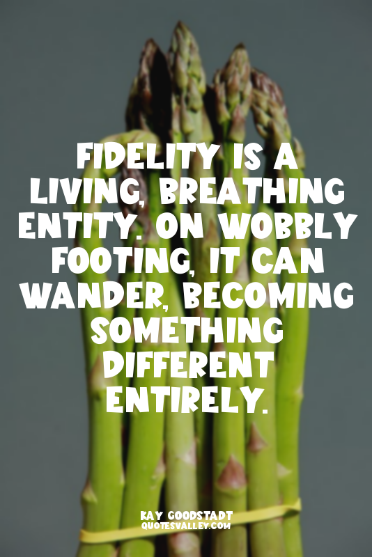 Fidelity is a living, breathing entity. On wobbly footing, it can wander, becomi...
