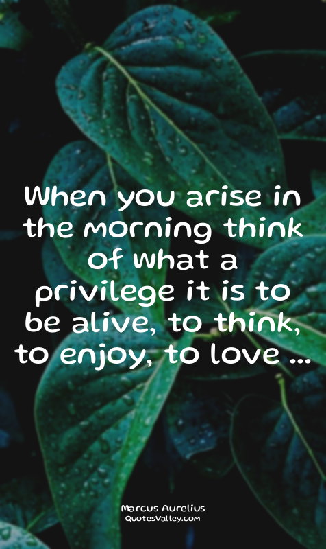 When you arise in the morning think of what a privilege it is to be alive, to th...