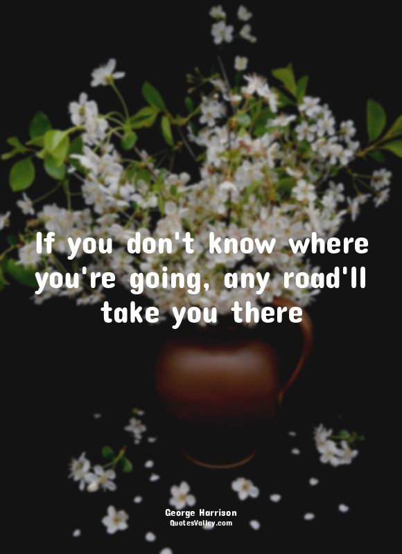 If you don't know where you're going, any road'll take you there