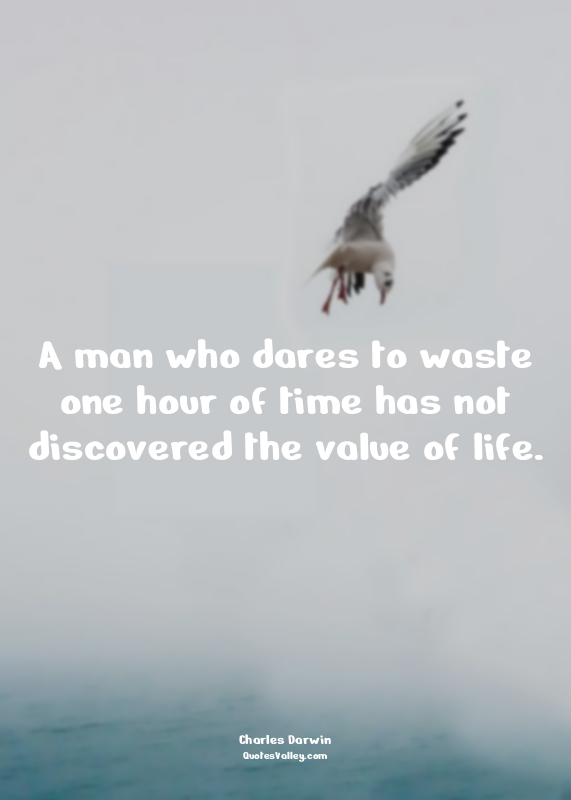 A man who dares to waste one hour of time has not discovered the value of life.
