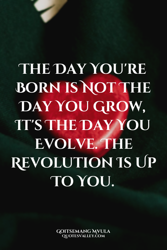 The Day You're Born is Not The Day You Grow, It's The Day You Evolve. The Revolu...