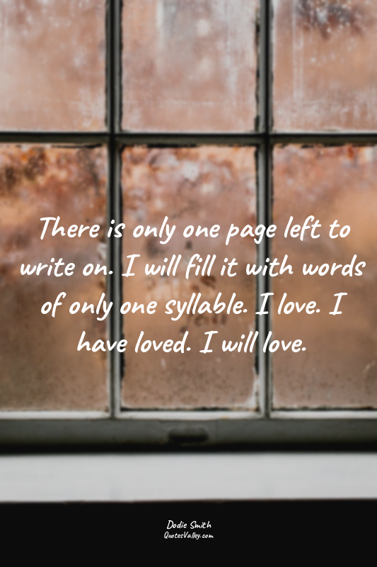 There is only one page left to write on. I will fill it with words of only one s...