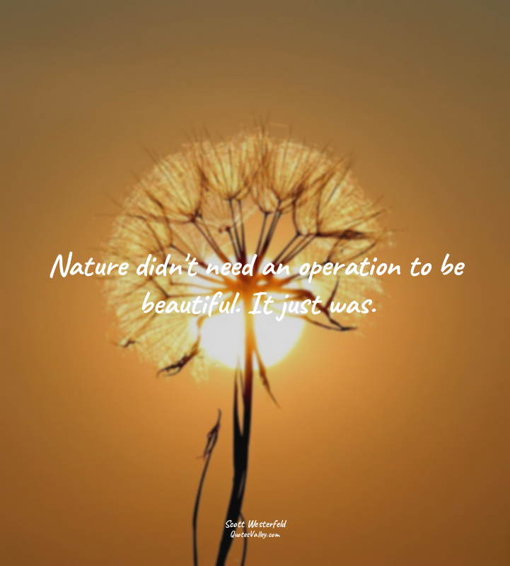 Nature didn't need an operation to be beautiful. It just was.